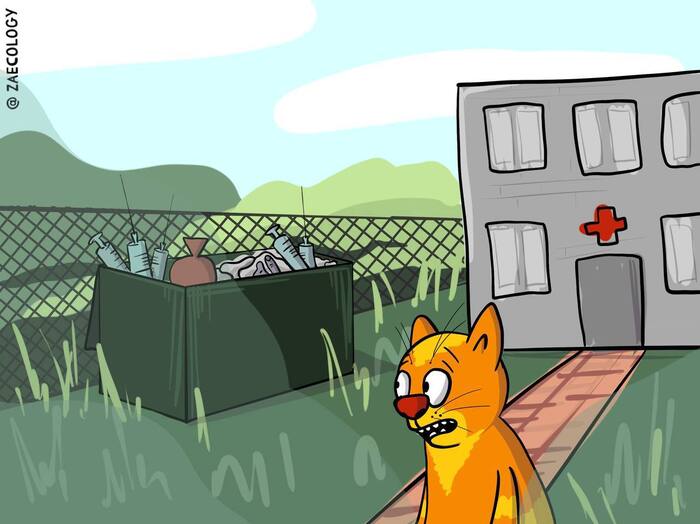 Медицинские отходы — мусор, способный убить…