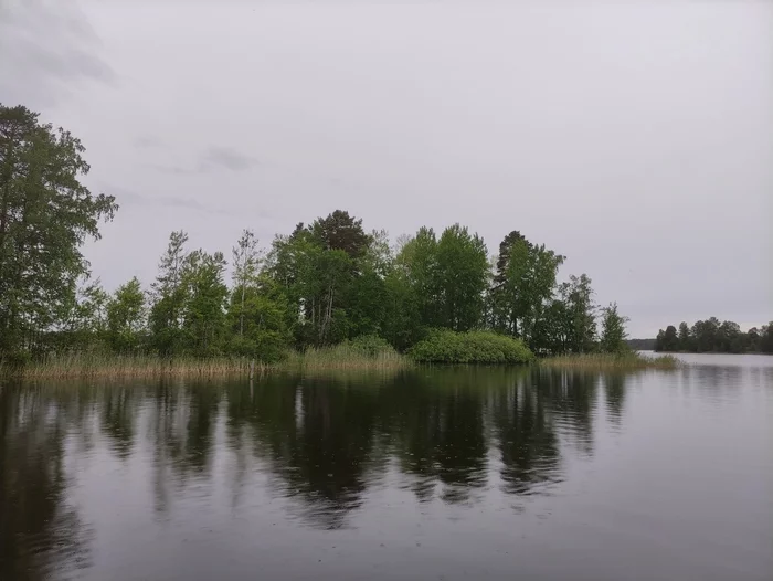 Lake Vuoksa - My, Leningrad region, Lake, beauty of nature, Hike, Fishing, Pike, Redfish, Perch, Lake Vuoksi, Longpost, The photo