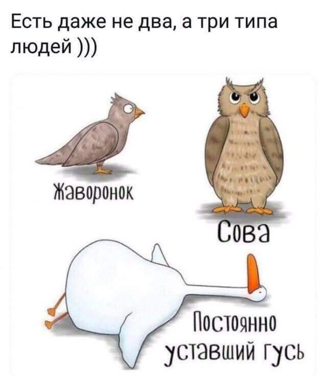 Ава для лиги уставших