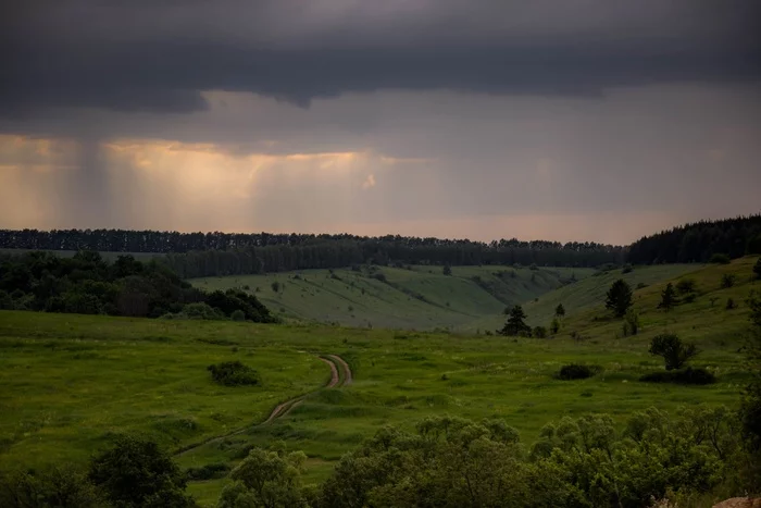 Lipetsk region, Zadonsky district - My, Nature, Forest, The nature of Russia, Mobile photography, wildlife, beauty of nature, Lipetsk region, Beautiful view, Travel across Russia