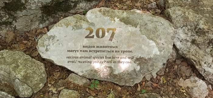 �������� ��������