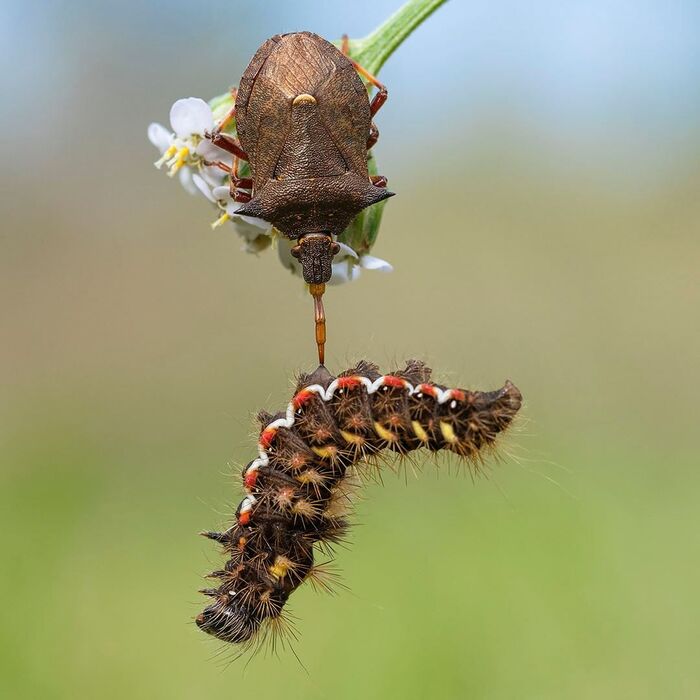 Никогда не сдавайся!
