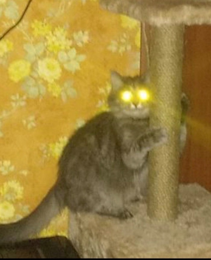   ,  , 