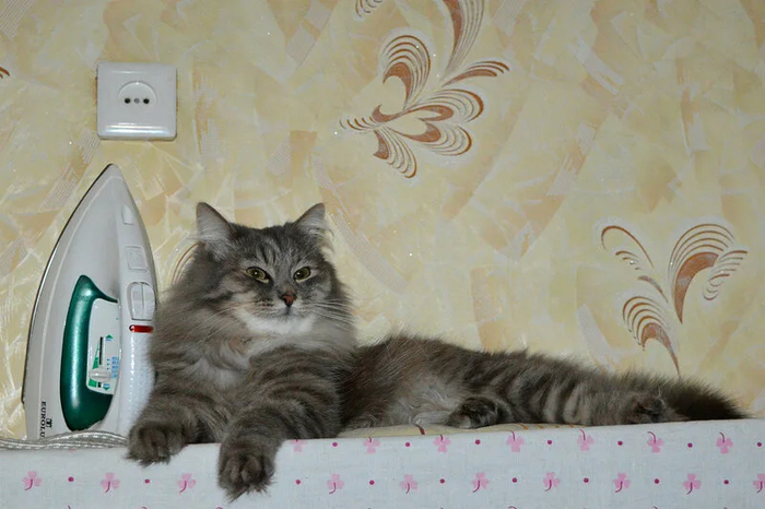 ����������� � �����������, ��� ���� ����?