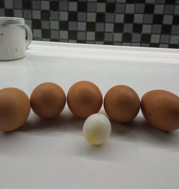 ������ ������ ���