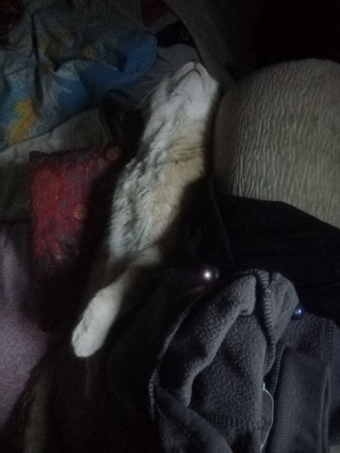    , , , , 