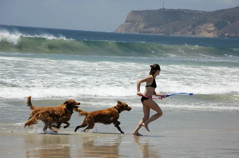 ������ �� ����