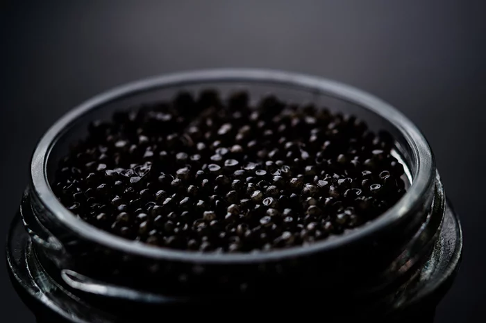 A resident of the Khabarovsk Territory tried to illegally transport 120 kilograms of black caviar - Negative, news, Society, Russia, Caviar, A fish