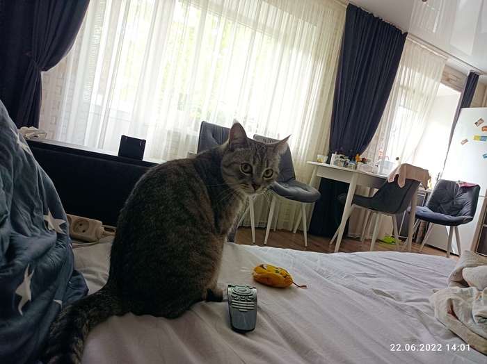 ��� ����������� ������ � �����...