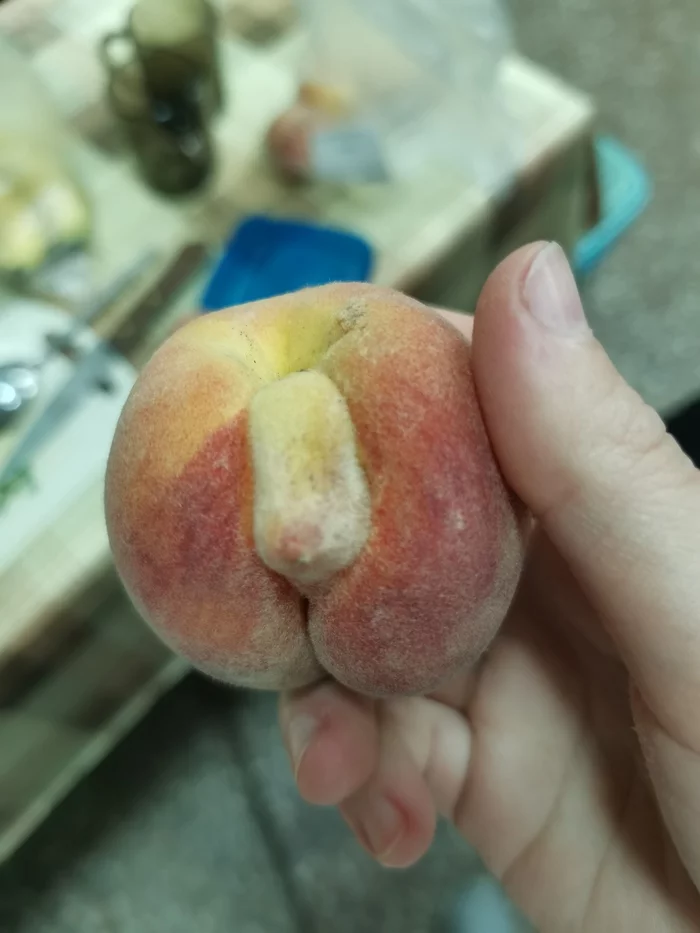 peach - My, Фрукты, Pareidolia, Longpost