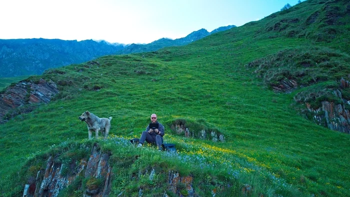 Unfamiliar alabai and mountains - My, Alabai, Drone, Quadcopter, Dji, DJI mini 2, Kazbek, Stepantsminda, Dog, Video, Youtube