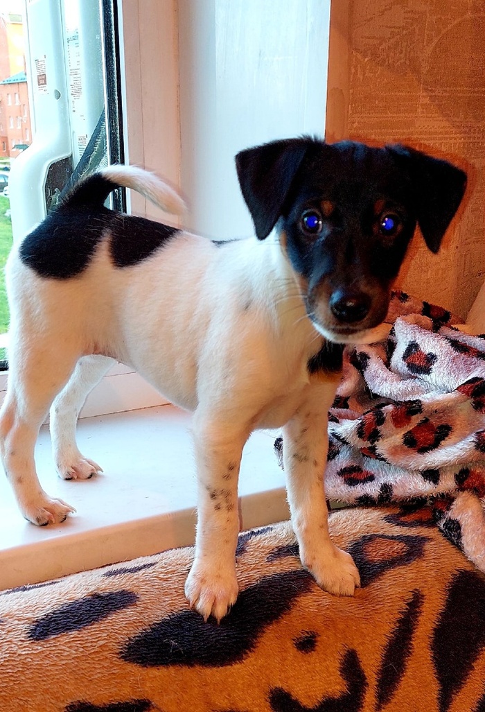 Усталость, оказывается, у каждого своя