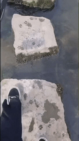   , , , 