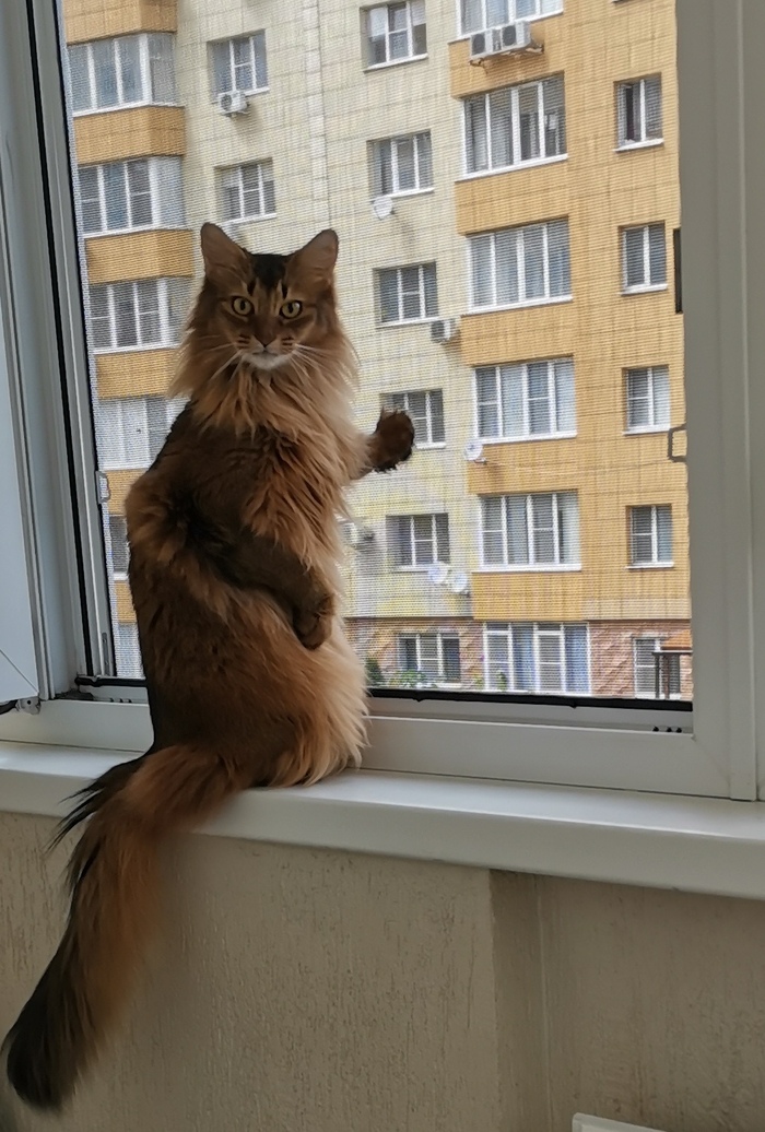  ? , , 