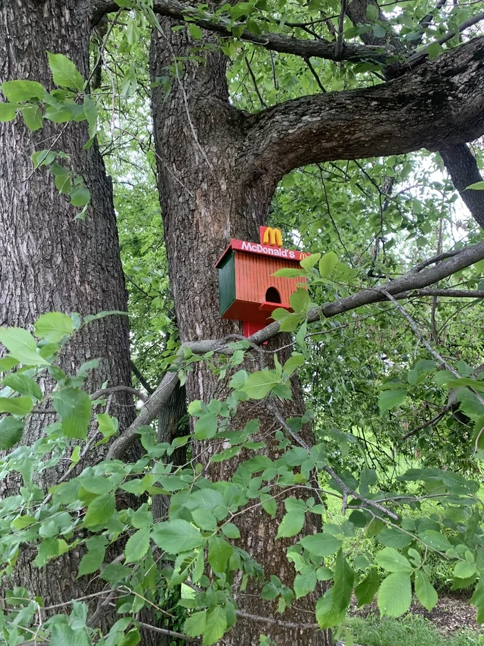 McDuck was not closed in Nizhny Novgorod - My, McDonald's, Tasty and period, Humor, Birdhouse