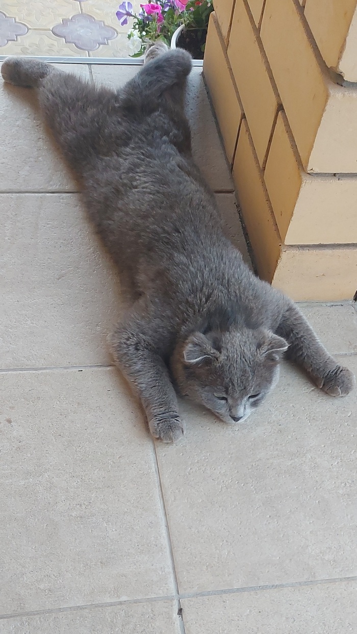 ��� ����