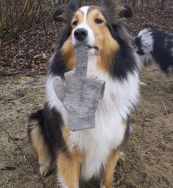 �� �� �����, ������� �����