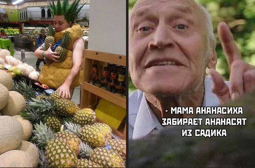Nature is amazing - A pineapple, Humor, Picture with text, Nikolay Drozdov, Idiocy