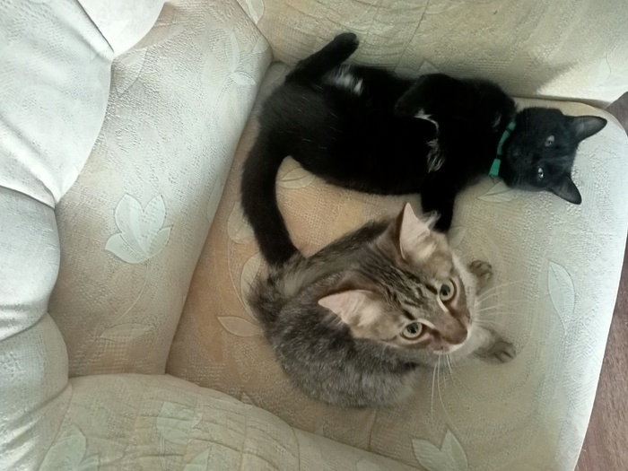 ��� ��������? ����� �����