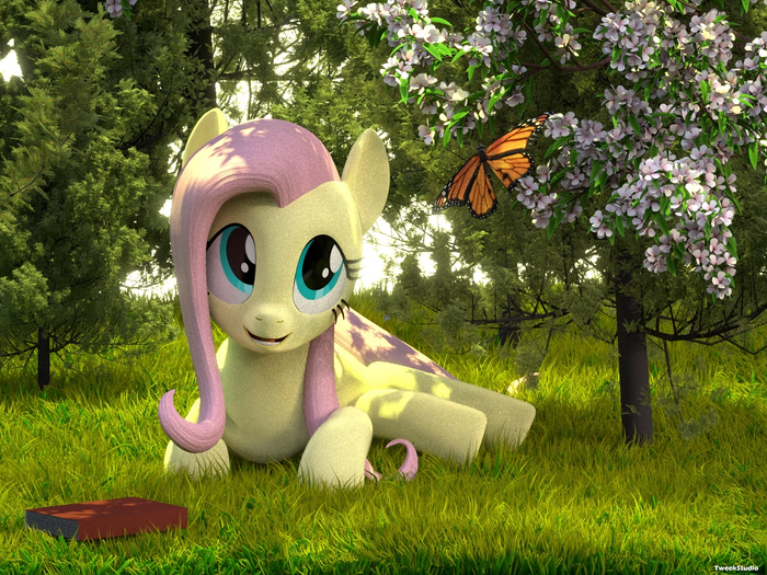       My Little Pony, Fluttershy, , 