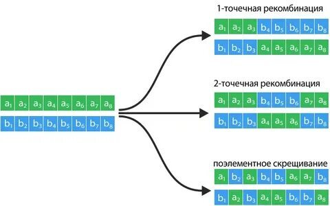 Почему полов ДВА? - Биология, Пол, Паразиты, Научпоп, Черная Королева, Гифка, Длиннопост