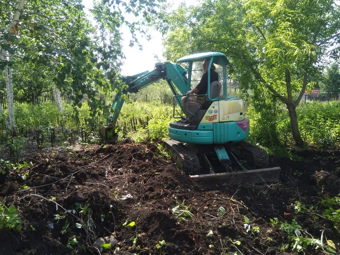 Clearing abandoned from cherry - My, Garlic, Garden, Seeds, Garden, Gardening, Clearing, , Land plot, Excavator, Video