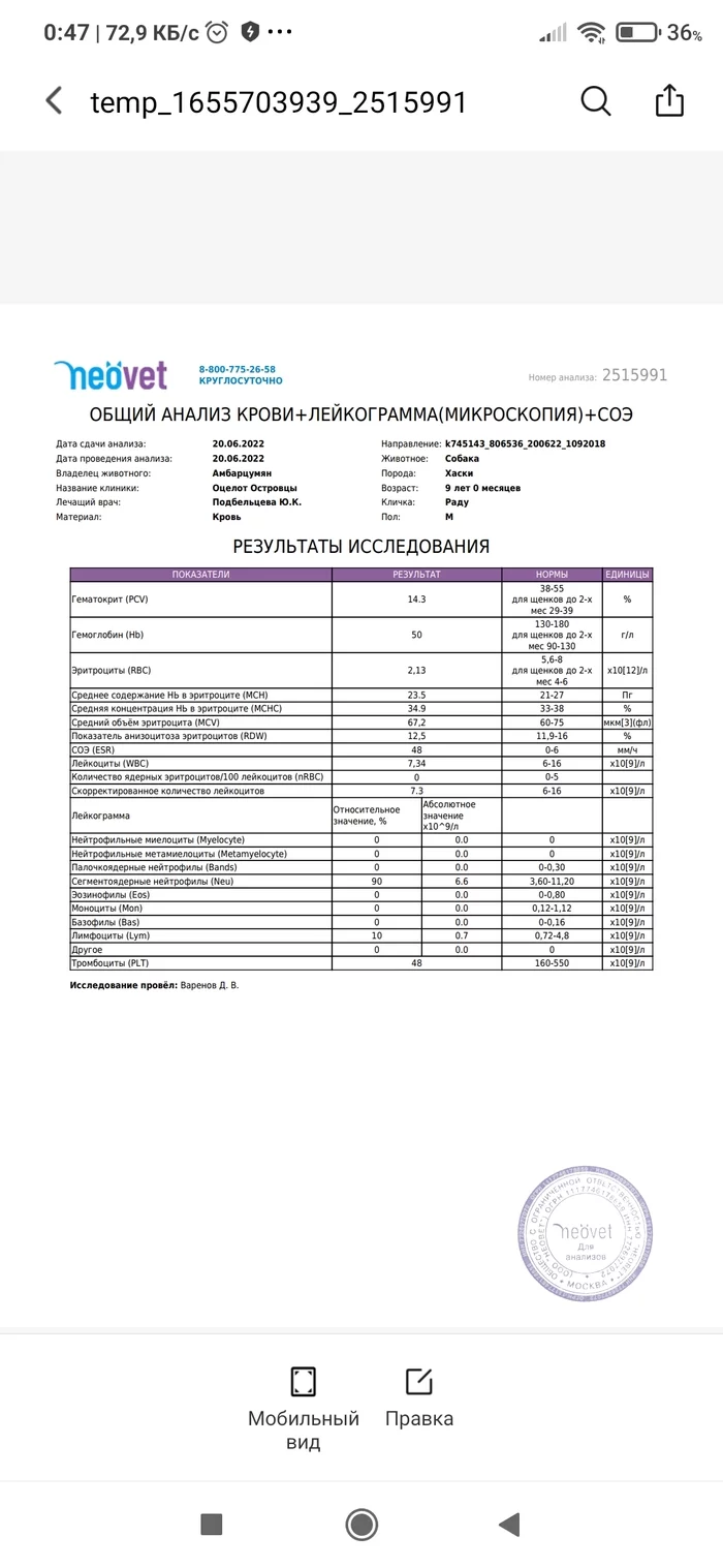 Помогите вернуть мне хвостика к жизни - Моё, Ветеринар, Собака, Почки, Длиннопост