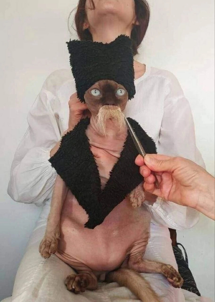  )))