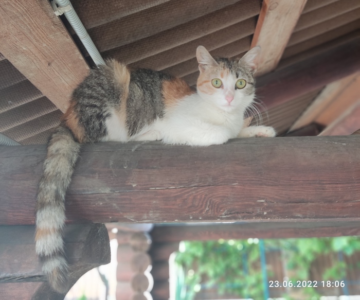 ���� ��� ��� ����� � ����������