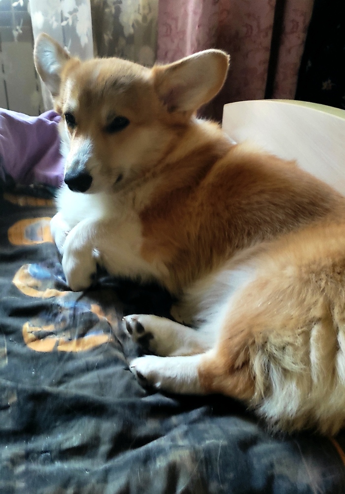 �� ������� 2