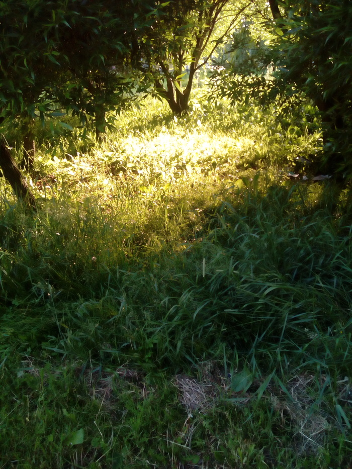 ������� ����������� � �����. ���� �����