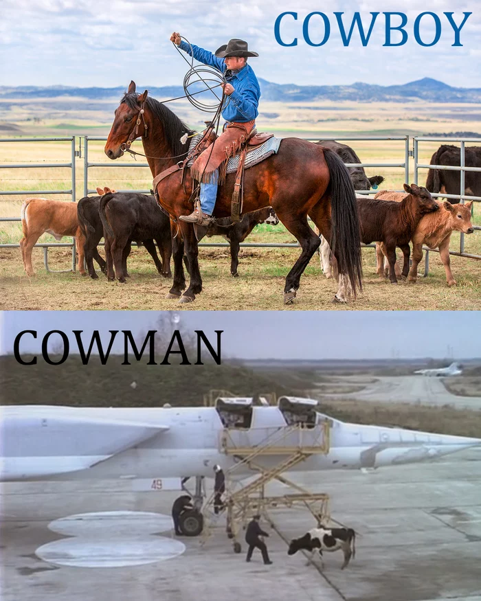 Cowmeme - Boy, Men, Peculiarities of the National Hunt, Cowboys, Memes, Wordplay