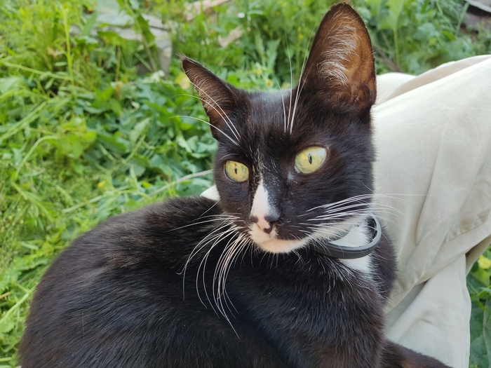 Продолжение предыдущего поста