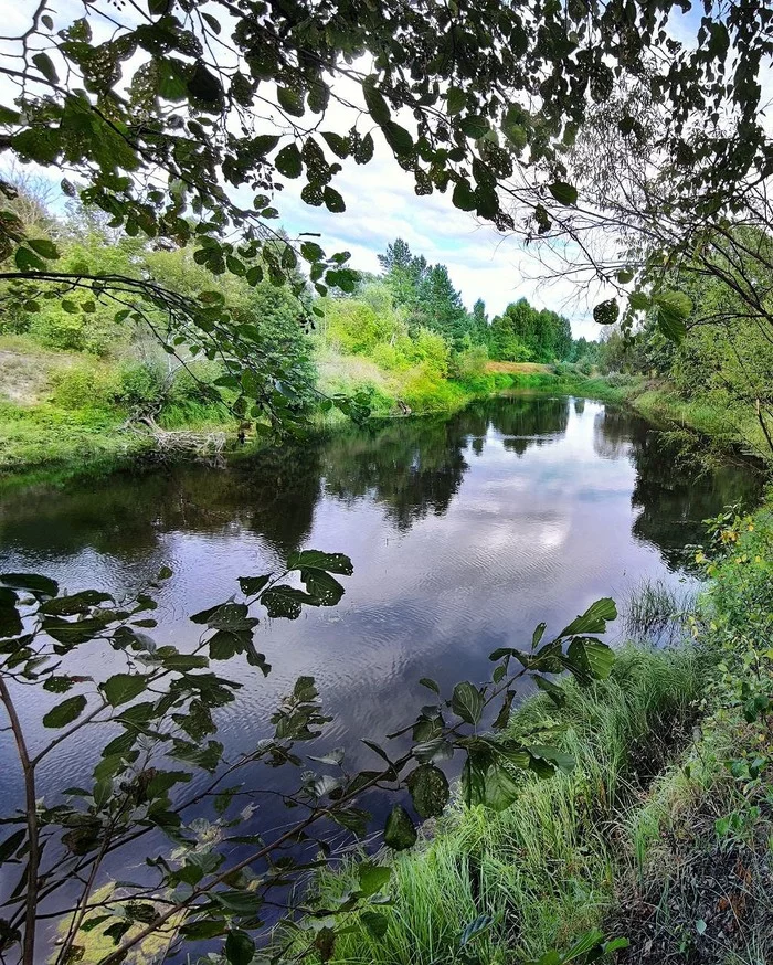 Seryozha River, Nizhny Novgorod Region - Forest, Nature, Mobile photography, The nature of Russia, wildlife, beauty of nature, River, Walk in the woods, Travel across Russia, Camping