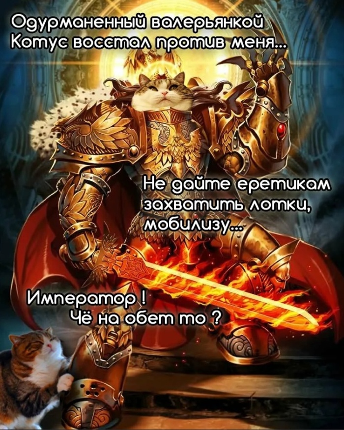 Как ты не вовремя