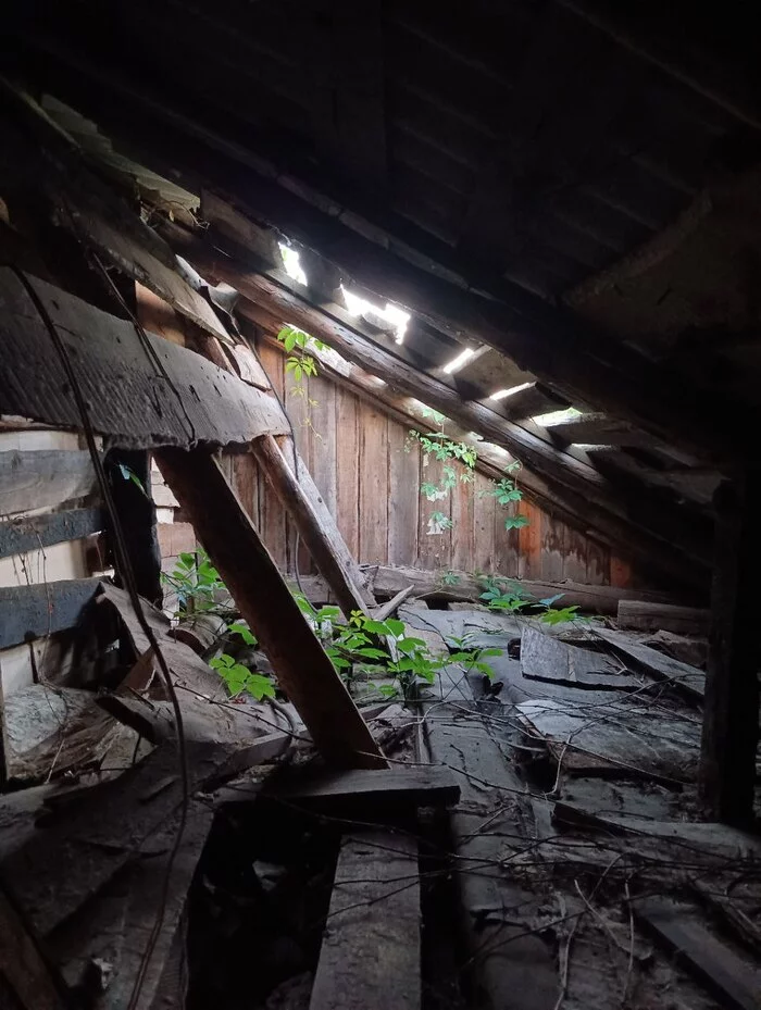 Abandoned cottage. SNT Lily of the valley. Penza - My, Nature, Dacha, Abandoned house, beauty of nature