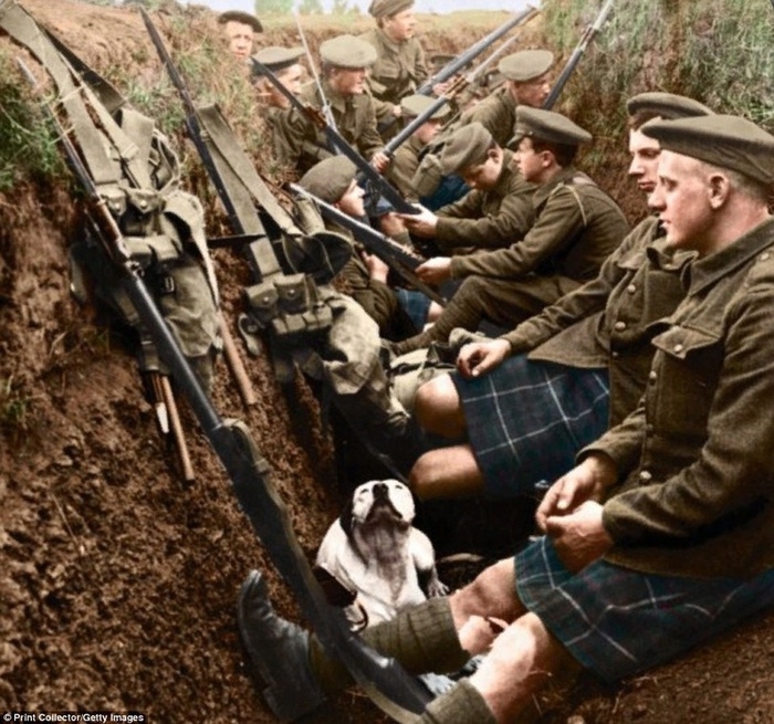 ������ ������ �� ���������� � ����������� �� ������ ������� �����