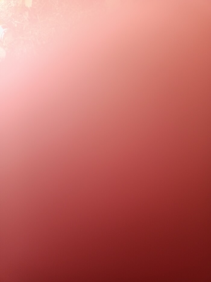 Ну воть)Жду вечером свою любовь, да-да, из БеларусиРебята, кто меня уважает, и те, кто ненавидят, держите за меня кулачки