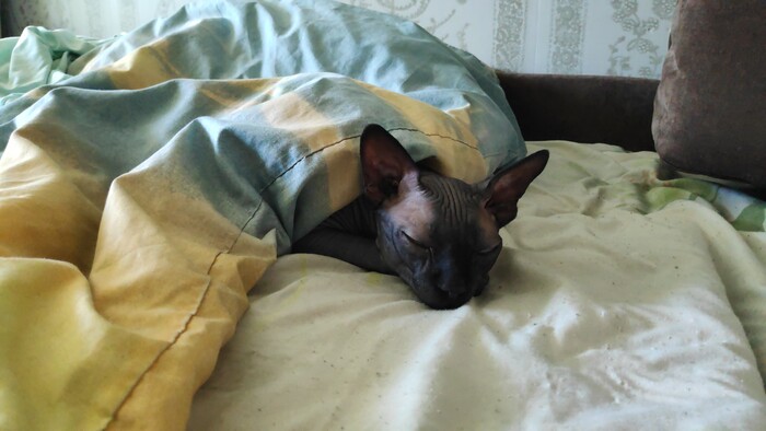 �@�� ������ - ����� �������