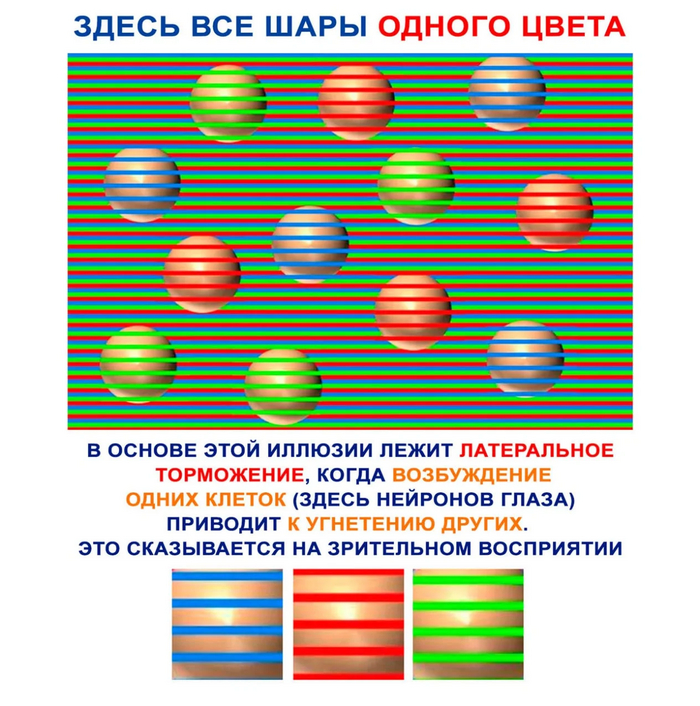 ��� ���� ������ �����