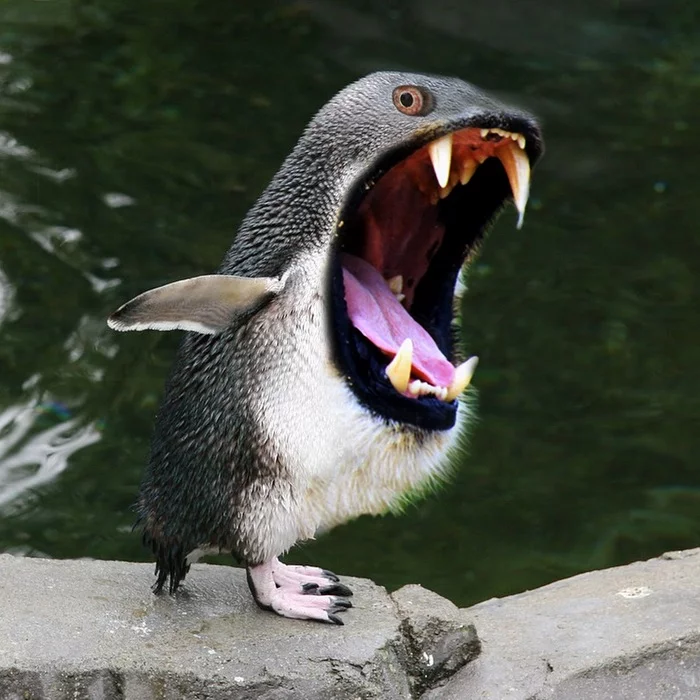 Photographs of penguinoids XXI - Reptilians, Тайны, Creatures, Attack, Post #10095676, The photo, Longpost
