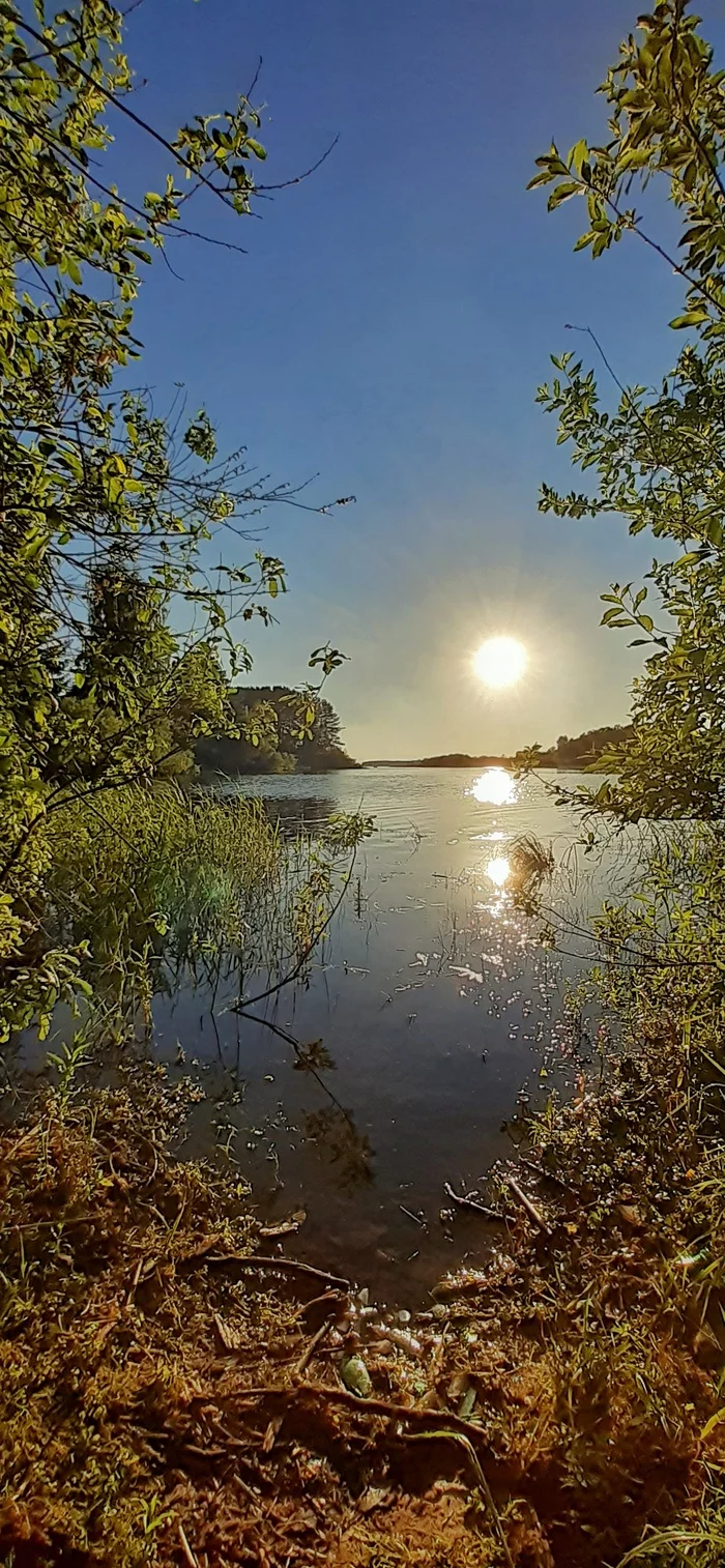 Sunset in the Vologda region - My, Sunset, The photo, Black River, Summer, Vologodskaya Oblast, River, Longpost