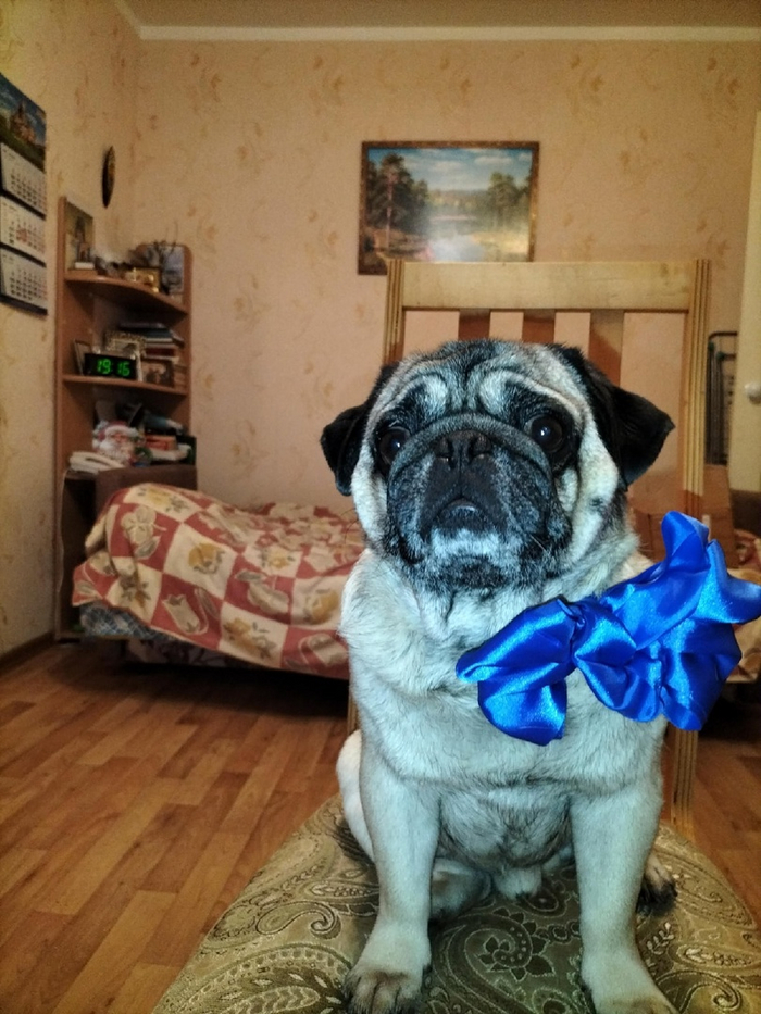 �������� �������