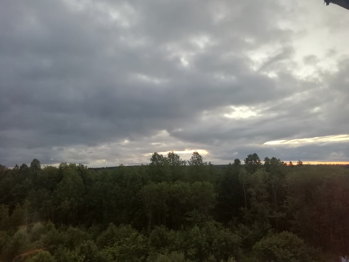 ������� �������� ����