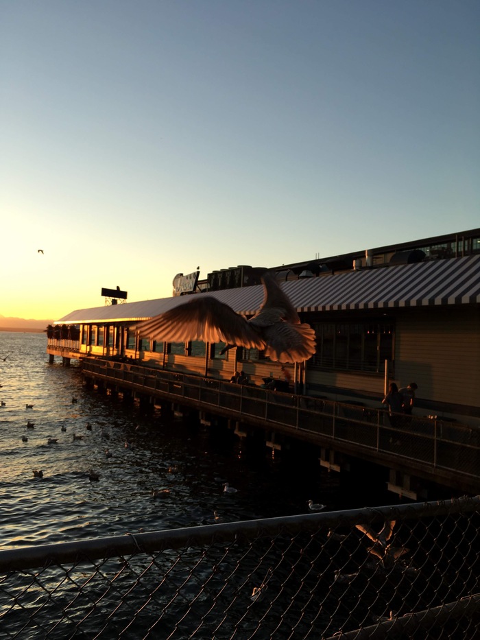 Полеты на закате