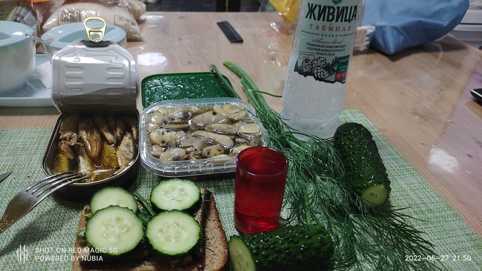 �� ������ ��