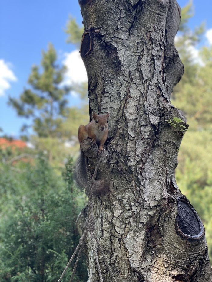 ����� ����� ?