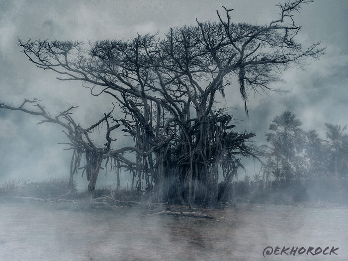 Криповое дерево