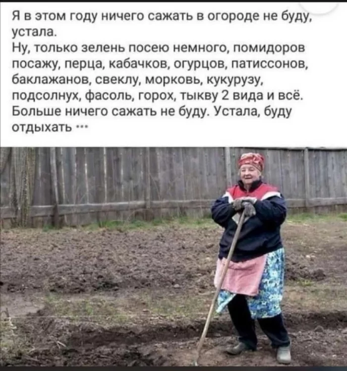 Annual promise of a typical summer resident - Picture with text, Humor, Dacha