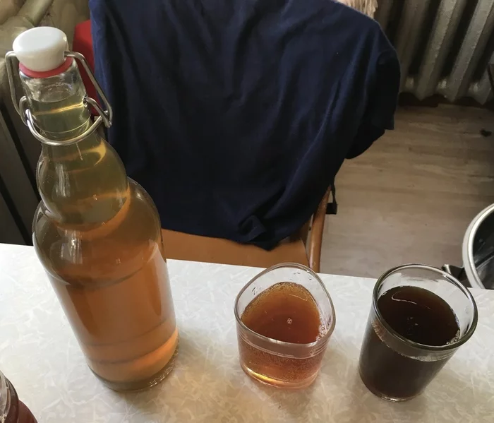 DIY drinks - My, Beer, Kvass, Moonshine, Longpost